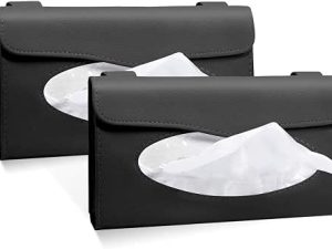 2Buyshop 2 Pack Car Tissue Holder