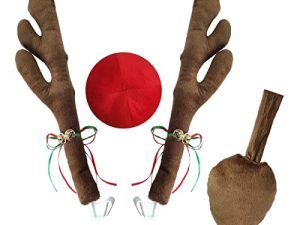 Car Reindeer Decoration