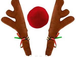 Christmas Car Decorations