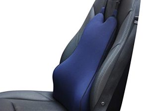 Lumbar Support Pillow for Car-Car Back Support-Memory Foam Car Lumbar Support for Driving Fatigue / Back Pain Relief - Dual Straps Better Fix The Car Cushion - Blue