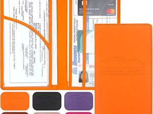 Car Registration and Insurance Holder