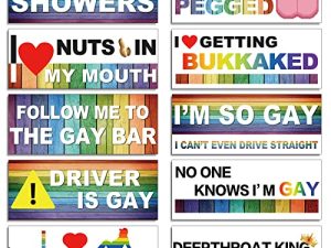 10 Pcs Funny Gay LGBT Prank Bumper Stickers Funny Car Stickers Rainbow Bumper Stickers Magnetic Bumper Decals Colorful Car Accessories for Car Vehicle Refrigerator(Classic Style